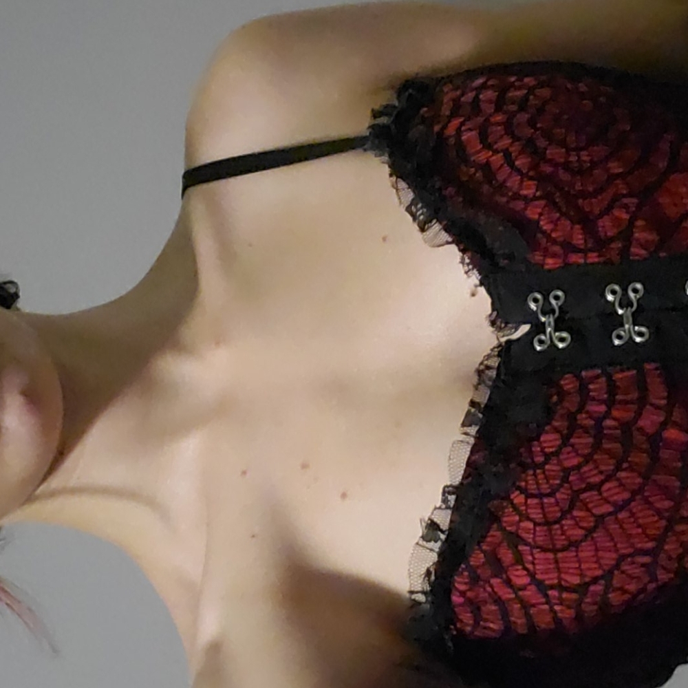 *ON HOLD ON DP* Royal Bones Lace Corset Top - Picture 4 of 8